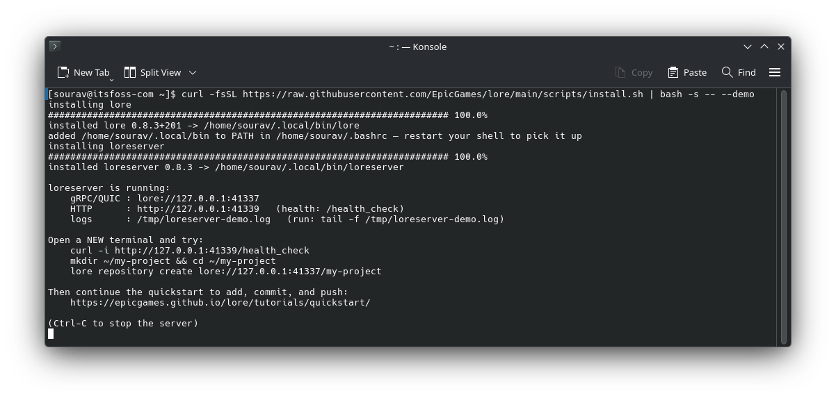 a terminal window screenshot showing the initial config step to get lore vcs up and running on linux