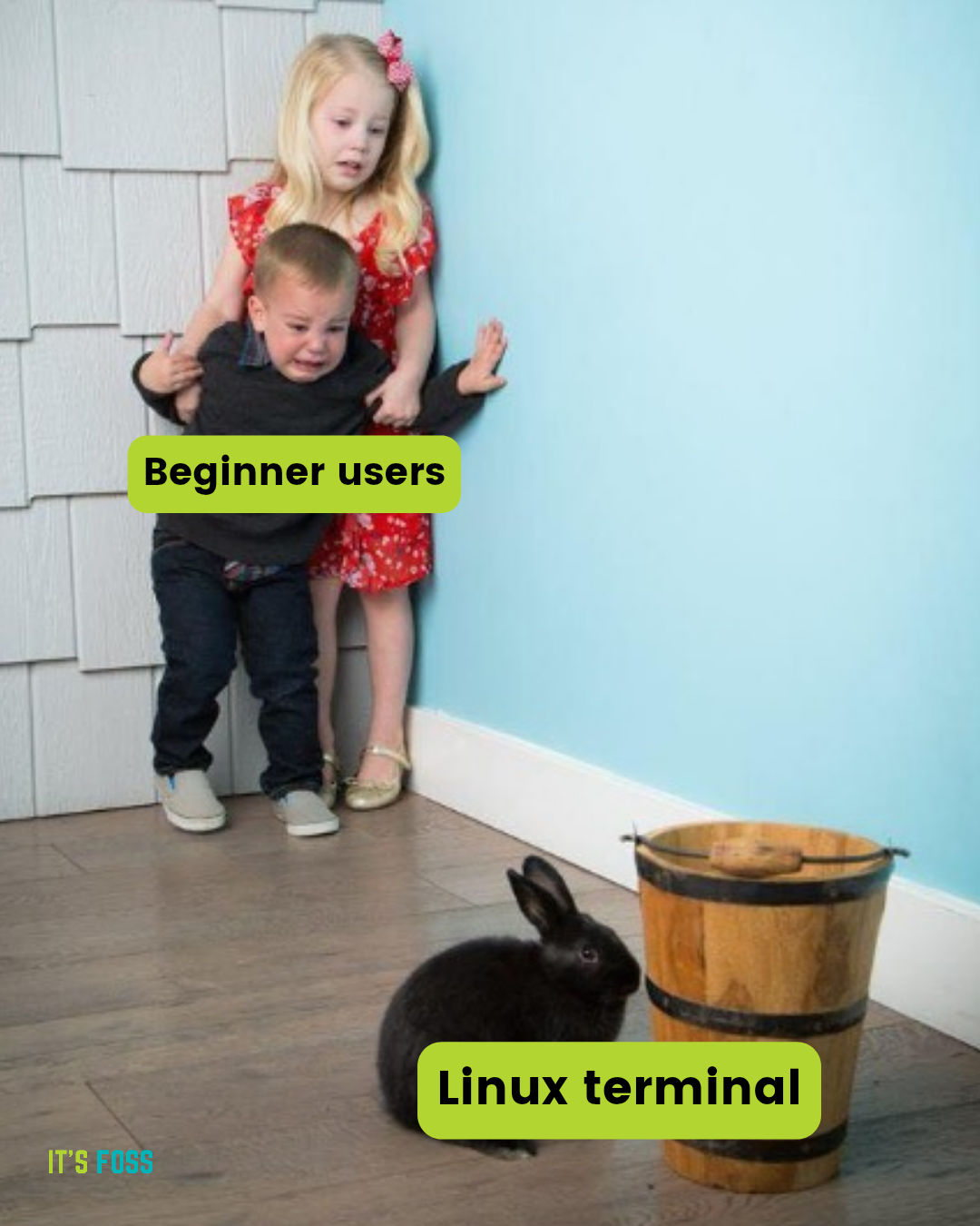 beginner user terminal nightmare meme