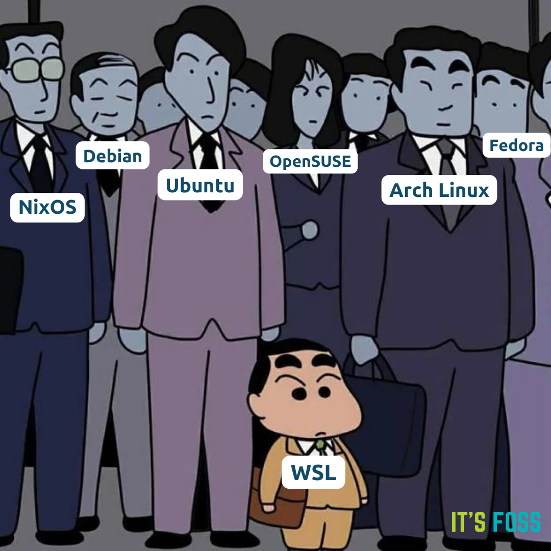 wsl out of place linux meme