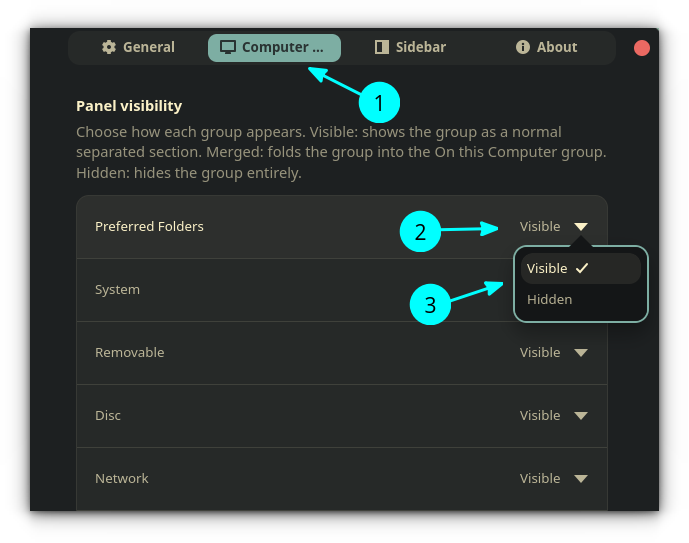 Panel Item visibility settings in My Computer settings.