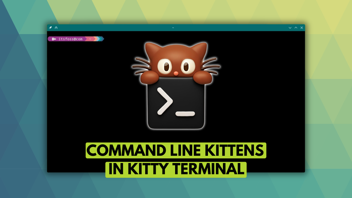 Kitten Kitty terminal