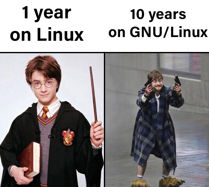 using linux makes you lose your mind meme