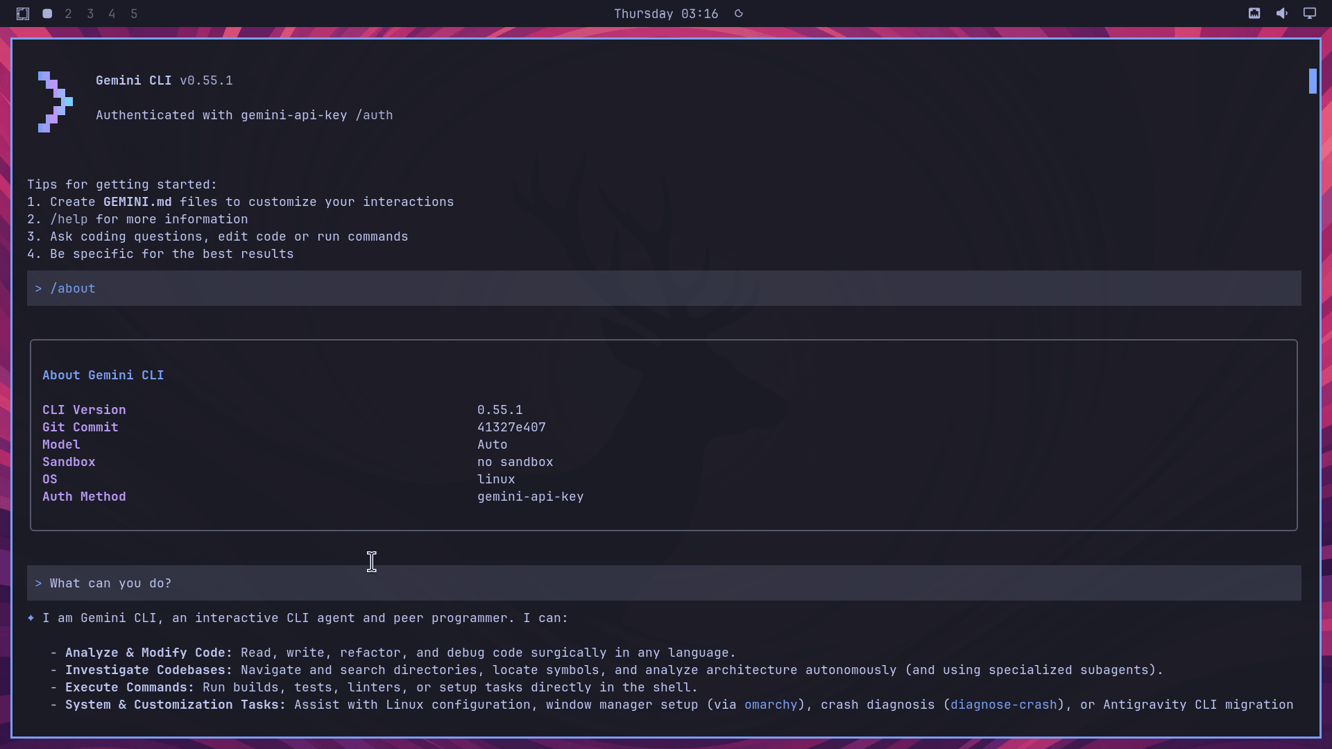 gemini cli is shown running on omarchy 4.0 rc2, being asked a question: what can you do?