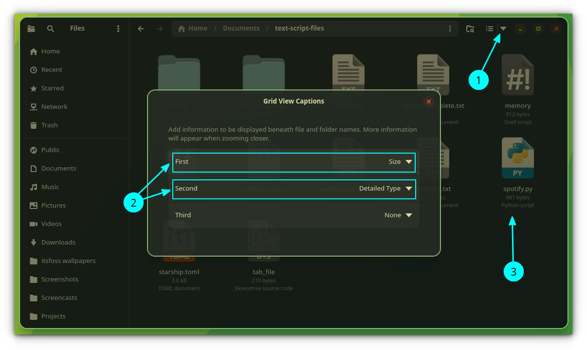 gnome files grid view captions tip