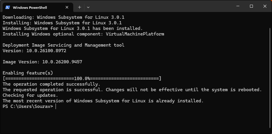 wsl 3.0.1 release