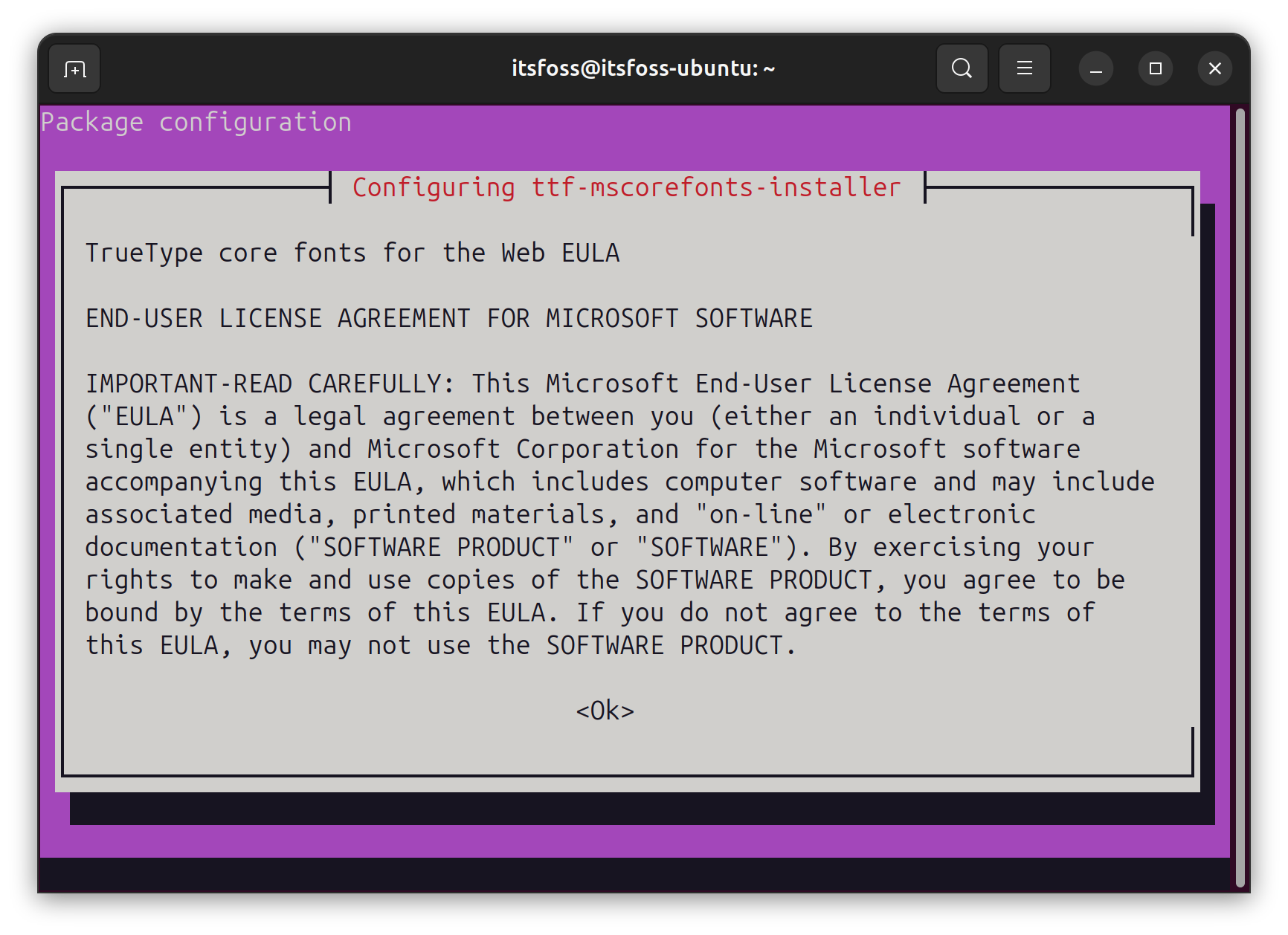 Accept the EULA for Microsoft Software while installing the Ubuntu Restricted Extras package.