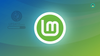 linux mint updater