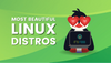 beautiful linux distros