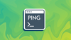 Ping Command Examples