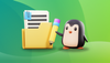 Rename Files and Directories in Linux Command Line