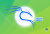 kali linux 2023