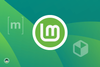 linux mint 22 plans