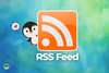 rss feed