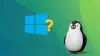 Penguin is confused to represent the missing windows option from grub
