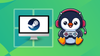 Play Windows games on Linux With Steam Play
