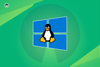 tux, windows, open source logos are all superimposed over one another