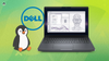 a penguin is sitting on the left with the dell logo over its head, on the right is a picture of the newly launched dell pro max 16 plus, and the background is mixed shades of green