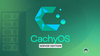 cachyos logo is at top, below that server edition is written in black inside a white box