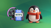 an illustration that shows a gear and a document with ntfs written on it on the left, on the right is a happy penguin wearing a dark orange scarf
