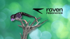 on the left, a raven prism smart glass device is shown sitting on a tree branch stand, on the right is the raven resonance logo