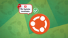 an illustration showing a no update available notification with the ubuntu logo placed on its right