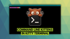 Kitten Kitty terminal