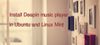 How To Install Deepin Music Player On Ubuntu