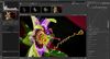 Install Adobe Lightroom Alternative RawTherapee in Ubuntu Linux