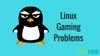 Annoying Experiences Every Linux Gamer Never Wanted!