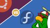 Ubuntu vs Fedora
