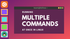 Run multiple Linux commands simulatenously