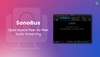 SonoBus: An Open Source Peer-to-Peer Audio Streaming App with Cross-Platform Support