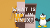 What is TTY in Linux