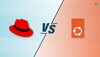 Red Hat Enterprise Linux vs Ubuntu: What's the Difference?