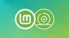 Linux Mint Release Cycle: What You Need to Know