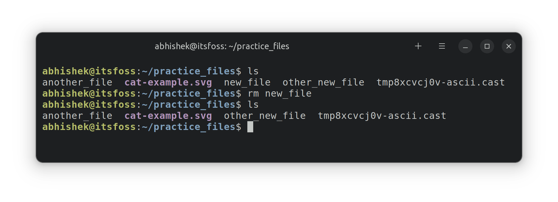 Delete Files and Folders in Linux Command Line