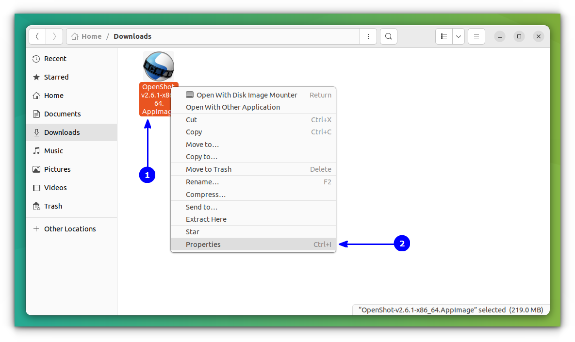 How to Use AppImage in Linux Guide]