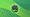 evernote on linux