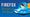 Firefox: The Internet's Knight in Shining Armor