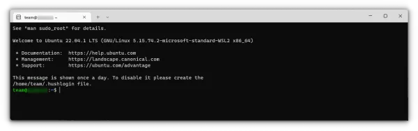 Logged into new Ubuntu 22.04 LTS in Windows 11 WSL