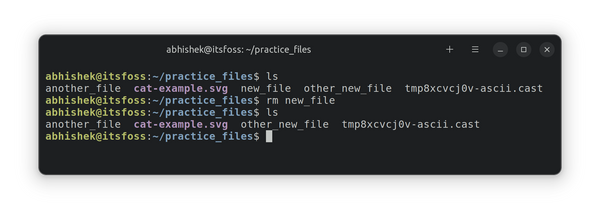 Removing files in Linux terminal