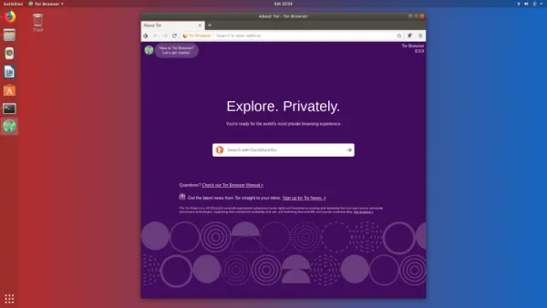 Tor Browser windows with 