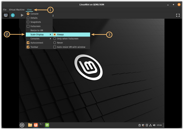 Enabling auto-resize in VM