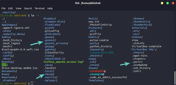  screenshot of a terminal, listing all the files including hidden ones in a directory. Files and folders starting with . are hidden from normal view