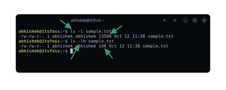 check file system size linux