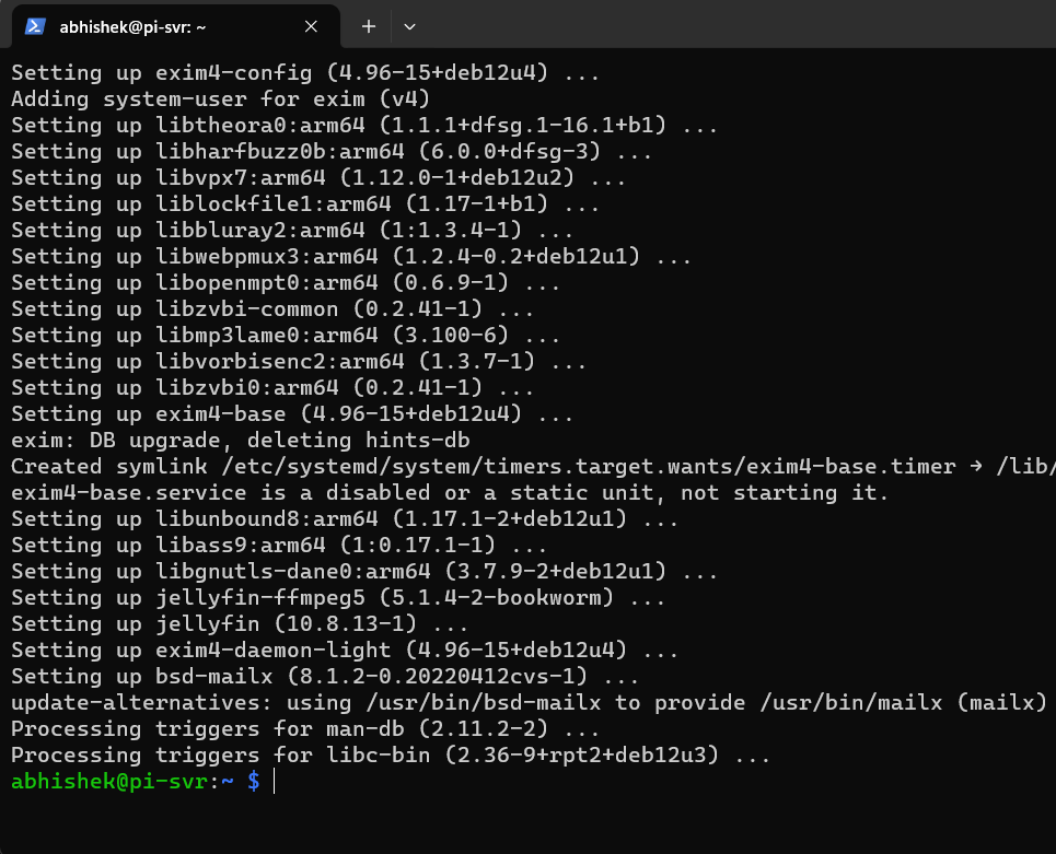 Setting up jellyfin media server on raspberry pi