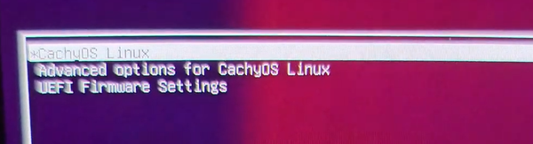 No Windows Boot Manager is present when rebooted after installing CachyOS