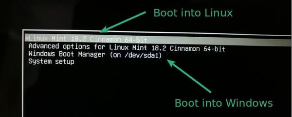 Dual Boot Linux Mint And Windows 10 or 11 [Beginner's Guide]