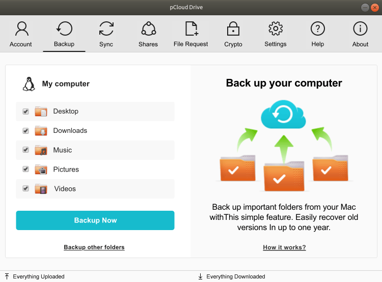 pcloud linux backup