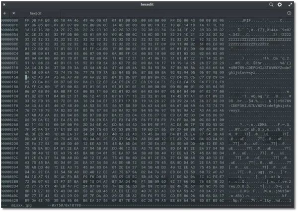 Top 5 Hex Editors for Linux [GUI and CLI Tools]